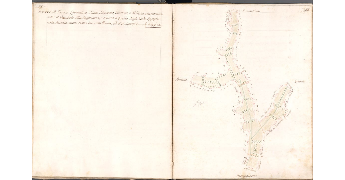 [Pianta del terreno della Sanfriana]