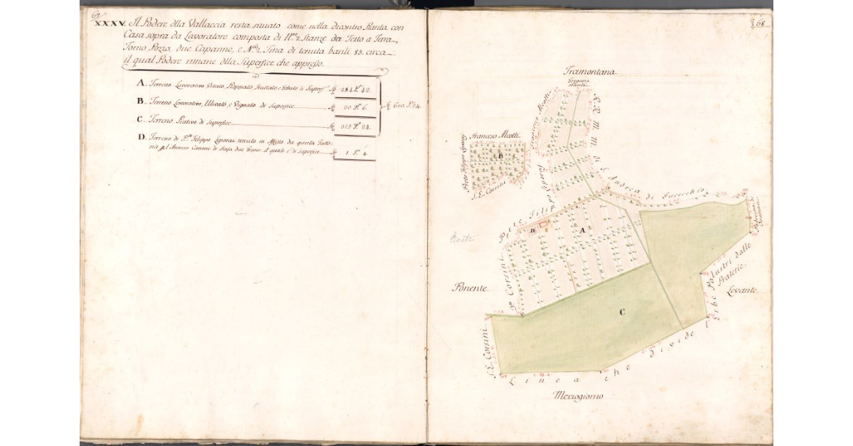 [Pianta del podere della Vallaccia]