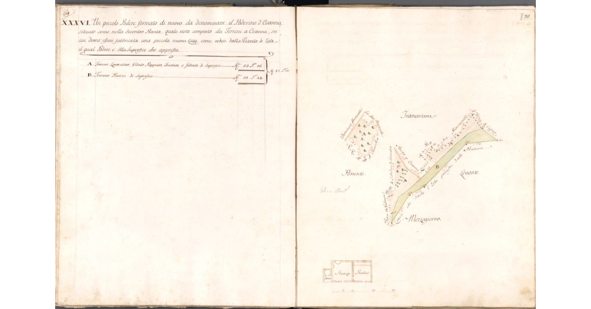 [Pianta del Poderino d'Osanna]