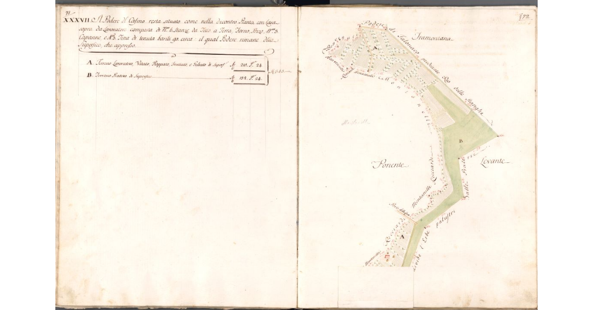 [Pianta del podere del Casino]