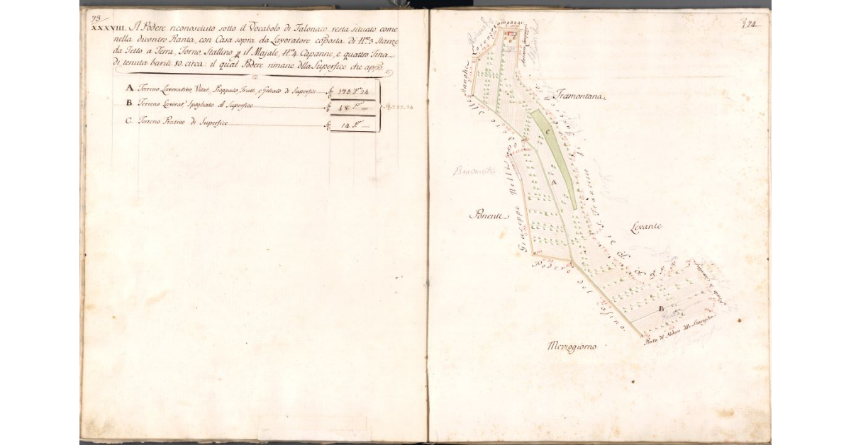 [Pianta del podere di Falonaco]