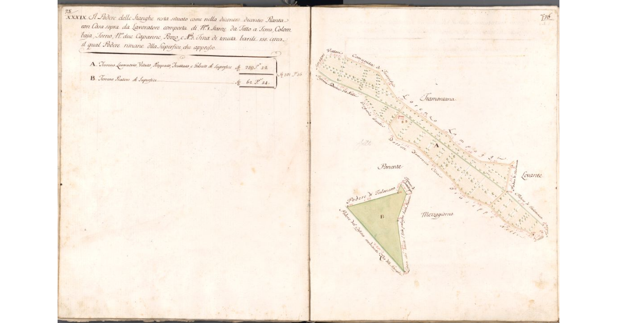 [Pianta del podere delle Stanghe]