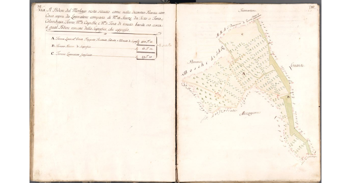 [Pianta del Podere del Merlaio]