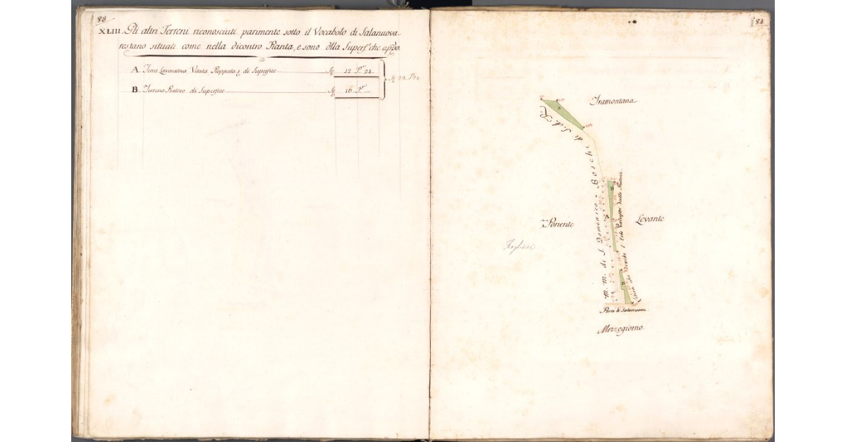 [Pianta dei terreni di Salanuova]