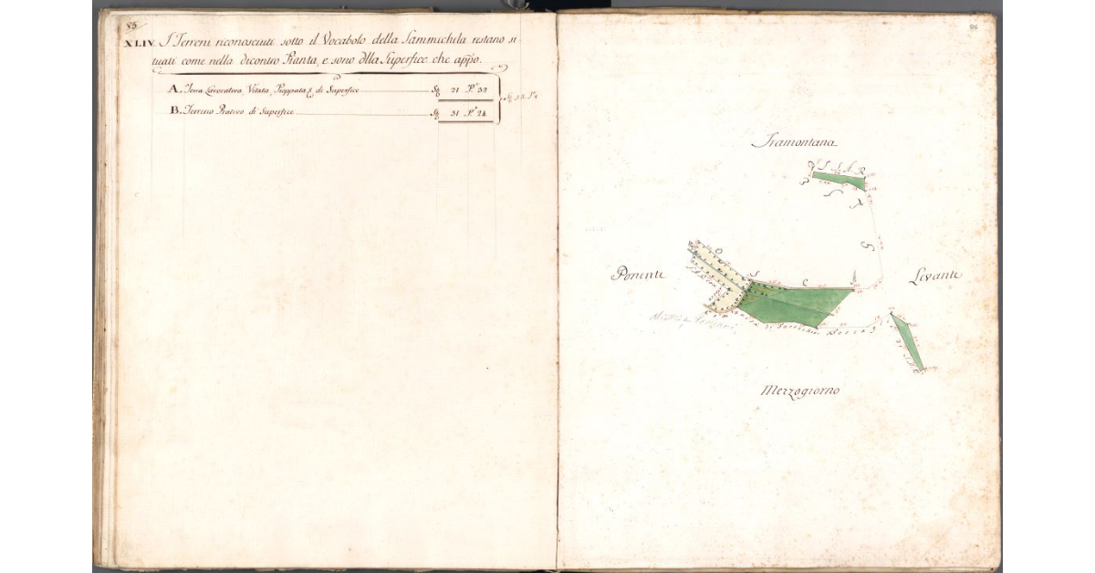 [Pianta dei terreni della Sammichela]