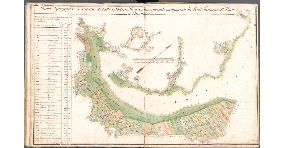 Pianta Topografica in ristretto di tutti i Poderi, Prati e Terre spezzate componenti la Real Fattoria di Ponte a Cappiano