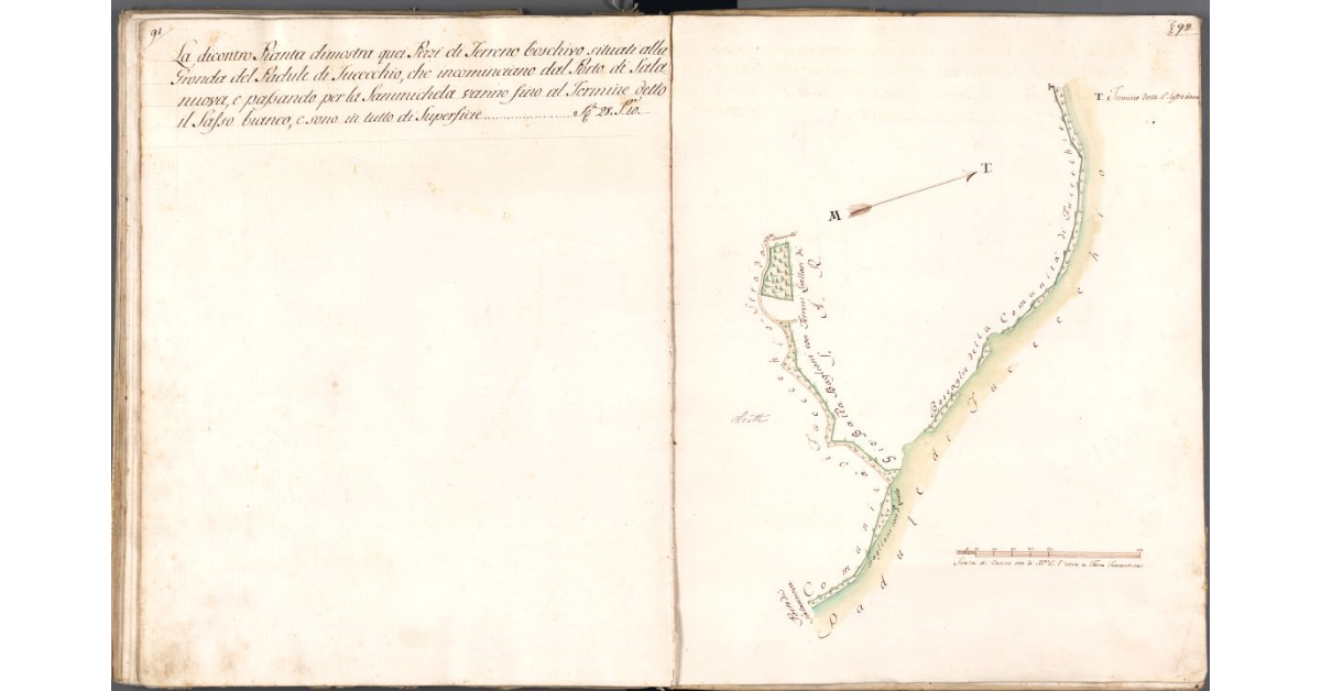 [Terreno boschivo situato presso la gronda del padule di Fucecchio]