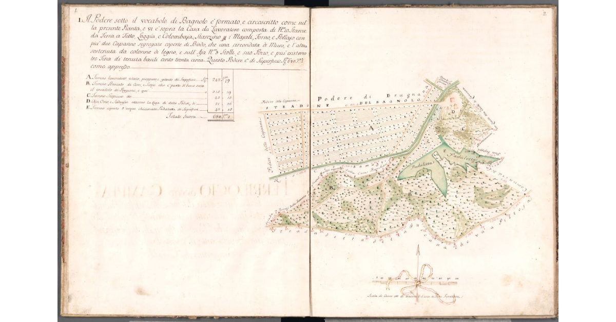 [Pianta del podere di Bagnolo]