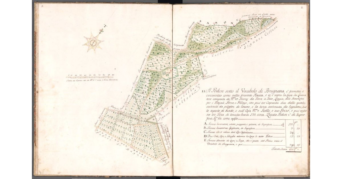 [Pianta del podere di Brugnana]