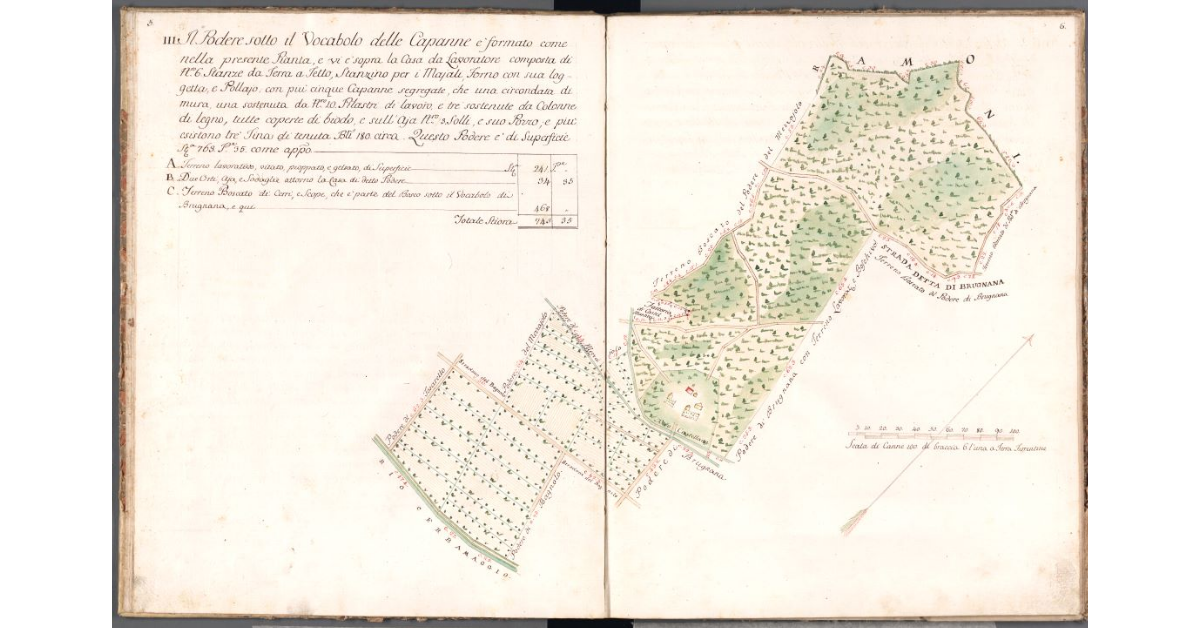 [Pianta del podere delle Capanne]