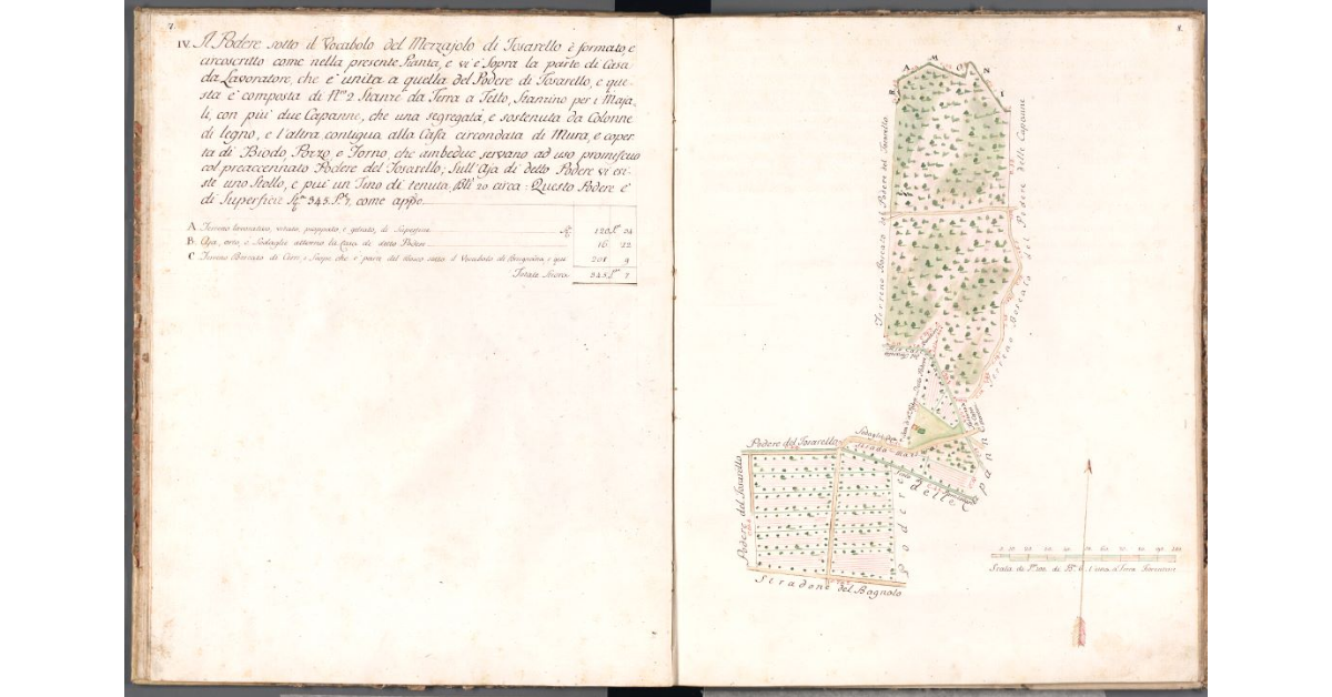 [Pianta del podere del Mezzaiolo di Tosarello]