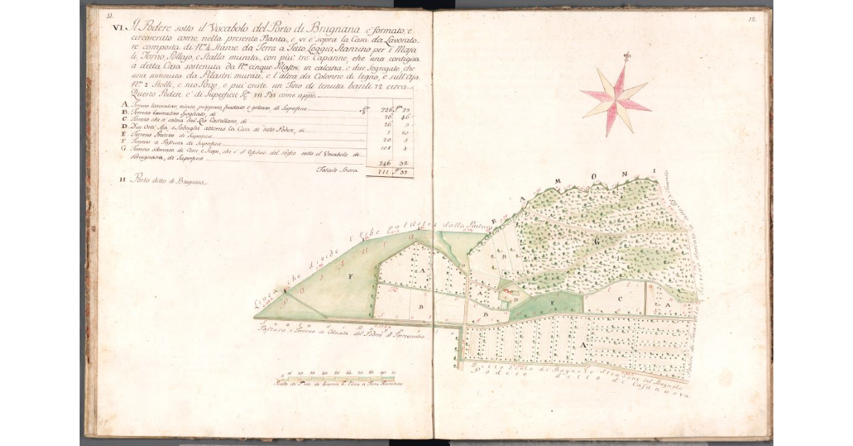 [Pianta del podere del porto di Brugnana]
