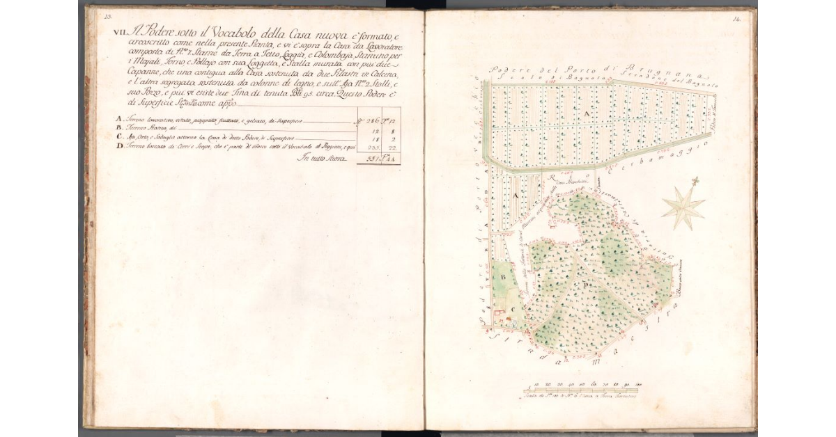 [Pianta del podere della Casa nuova]