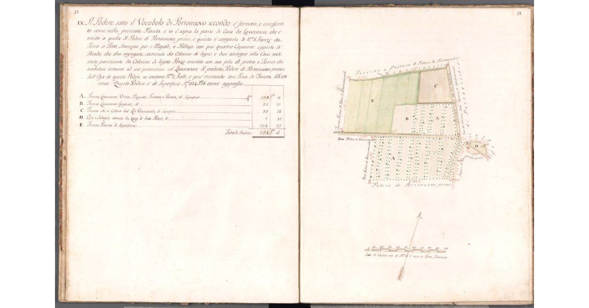 [Pianta del podere di Portonuovo secondo]