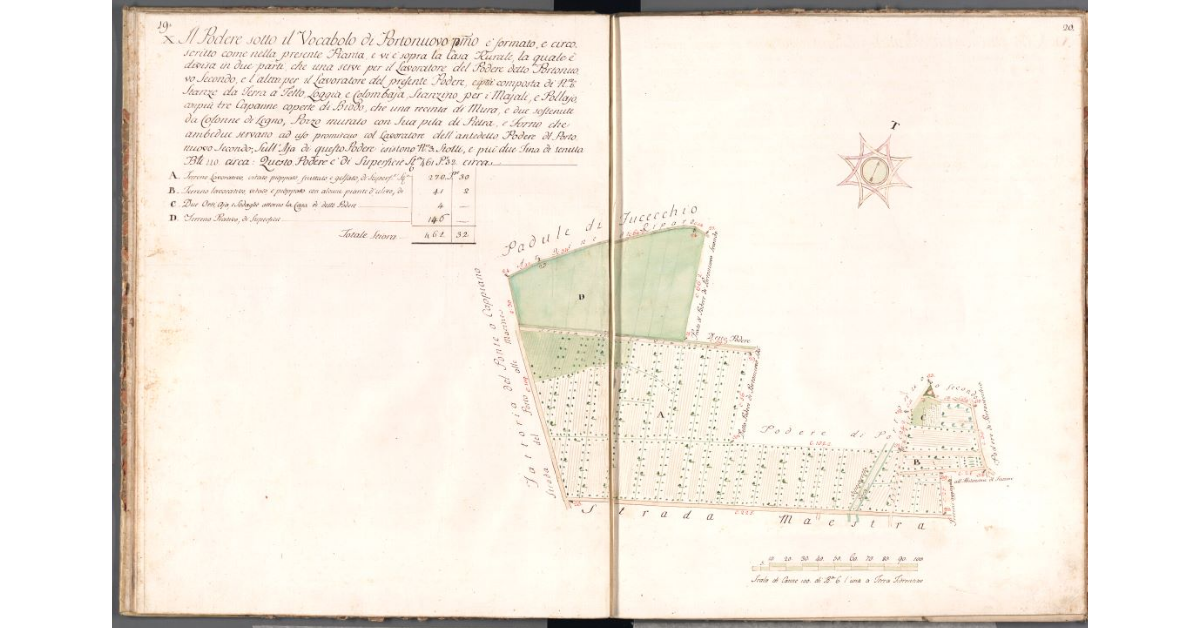 [Pianta del podere di Portonuovo primo]
