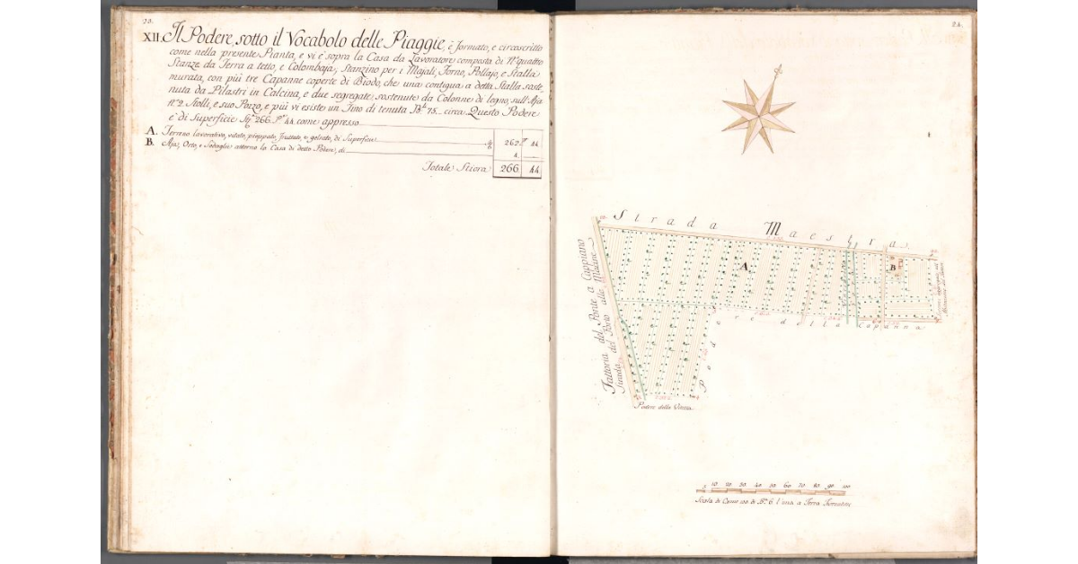 [Pianta del podere delle Piagge]