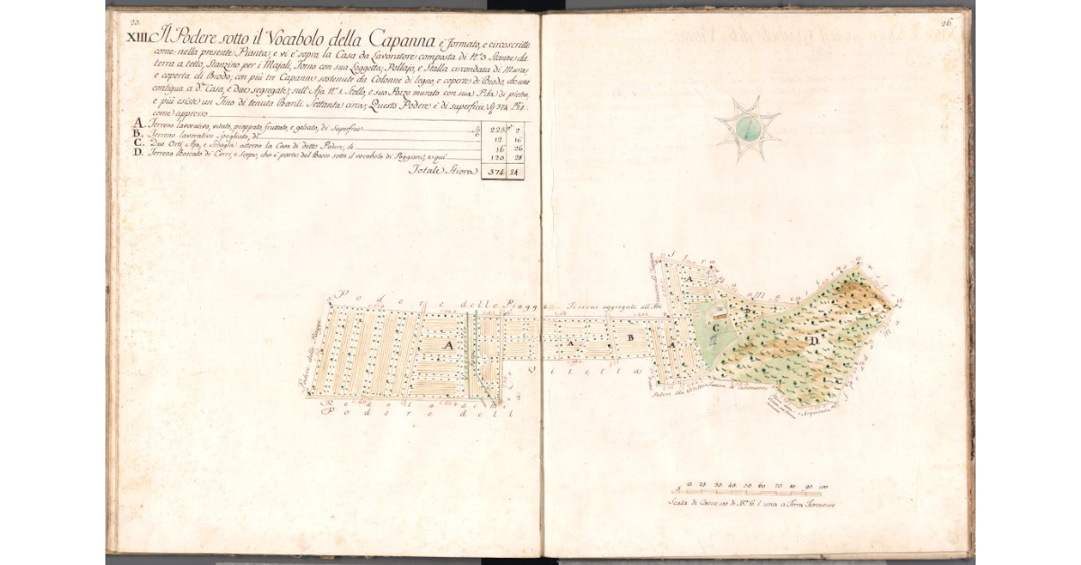 [Pianta del podere della Capanna]