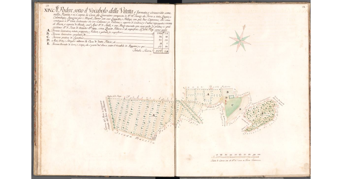 [Pianta del podere della Vitetta]