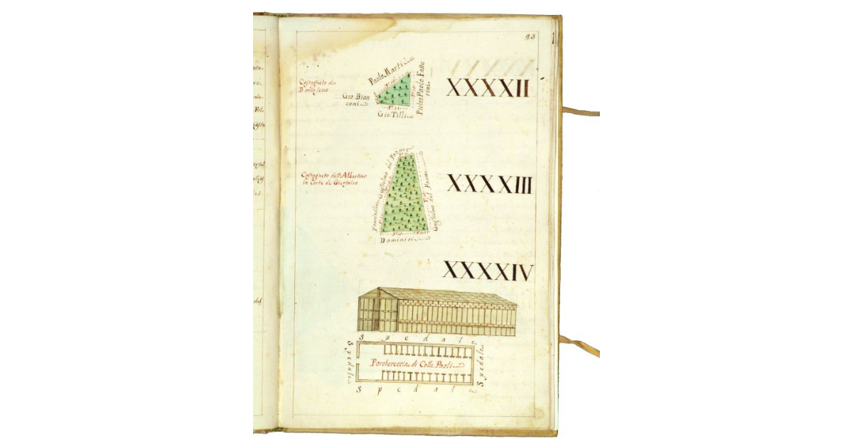 [Pianta di una porcareccia e di due castagneti di proprietà della Grancia di Prata]