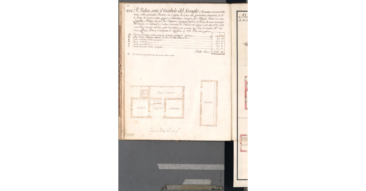 [Pianta della casa e stalla del podere del Serraglio]