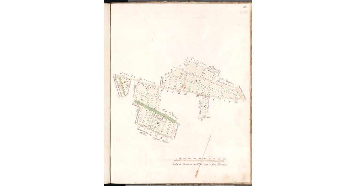 [Pianta del podere del Serraglio]