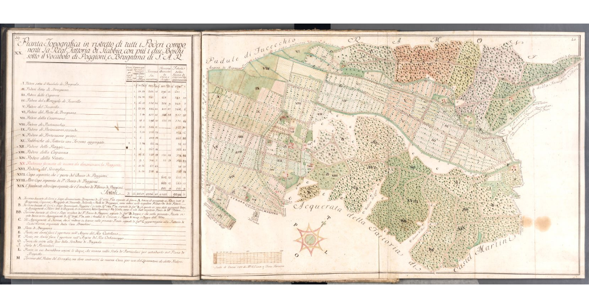 Pianta Topografica in ristretto di tutti i Poderi componenti La Real Fattoria di Stabbia, con più i due Boschi sotto il Vocabolo di Poggioni, e Brugnana di S.A.R