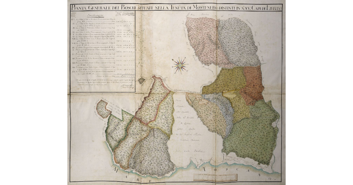 Pianta Generale dei Boschi situati nella Tenuta di Montenero, distinti in n. XV Capi di Livello