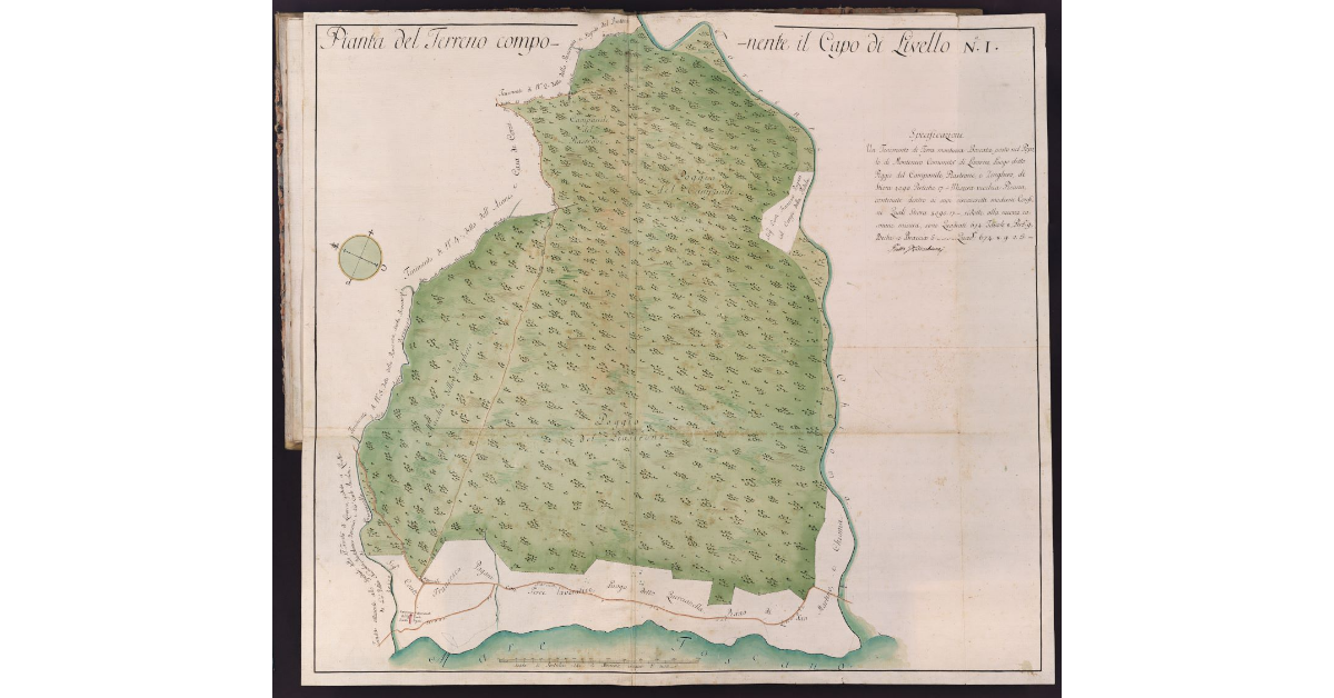 Pianta del Terreno componente il Capo di Livello N. I