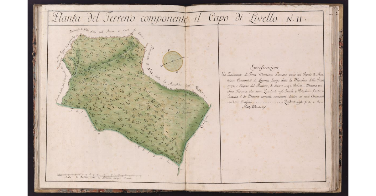 Pianta del Terreno componente il Capo di Livello N. II