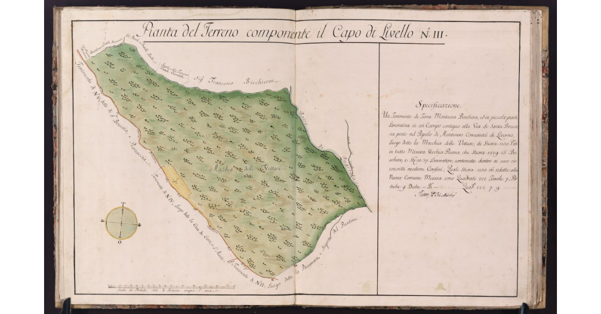 Pianta del Terreno componente il Capo di Livello N. III