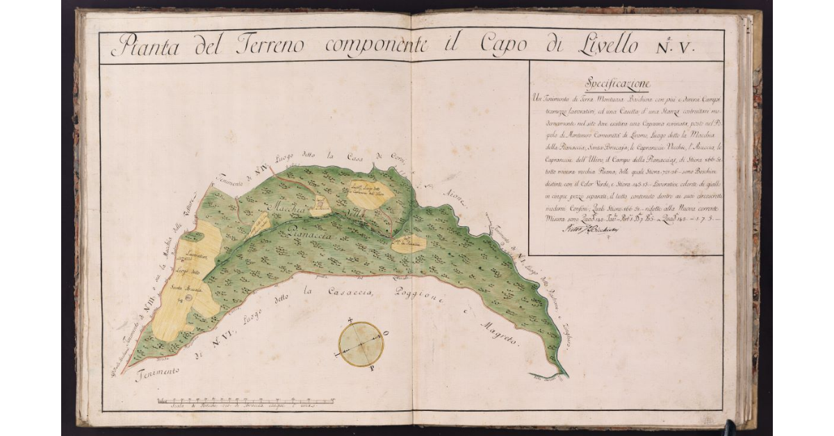 Pianta del Terreno componente il Capo di Livello N. V