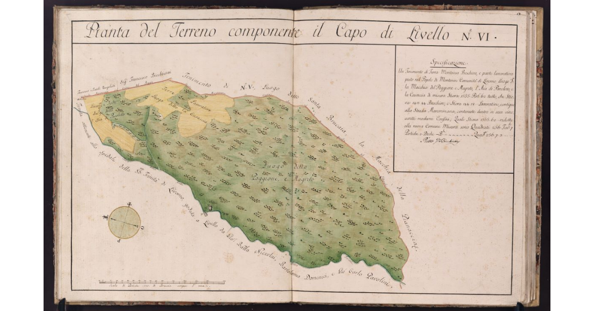 Pianta del Terreno componente il Capo di Livello N. VI