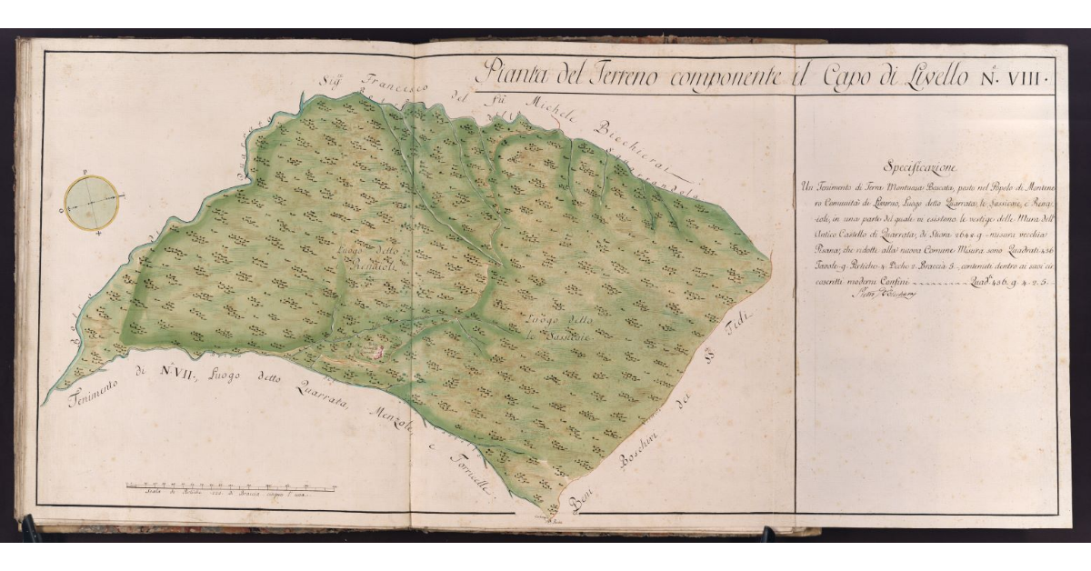 Pianta del Terreno componente il Capo di Livello N. VIII