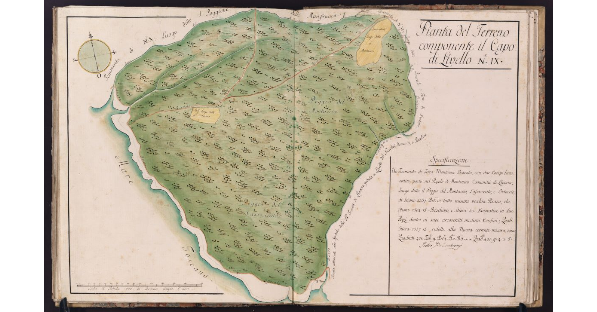 Pianta del Terreno componente il Capo di Livello N. IX