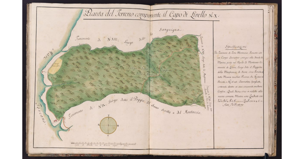 Pianta del Terreno componente il Capo di Livello N. X