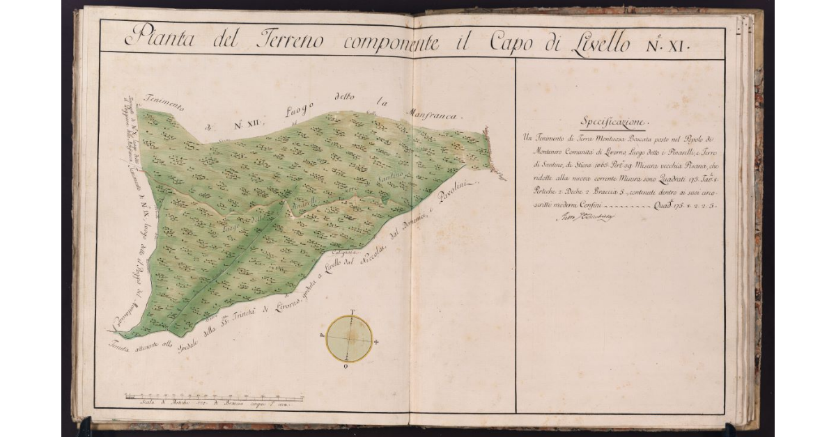 Pianta del Terreno componente il Capo di Livello n. XI