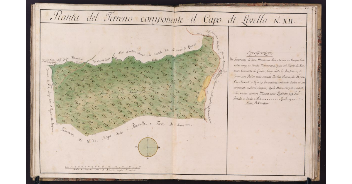 Pianta del Terreno componente il Capo di Livello N. XII