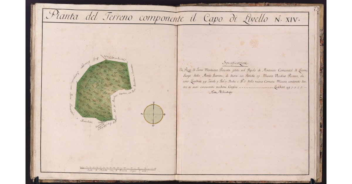 Pianta del Terreno componente il Capo di Livello N. XIV