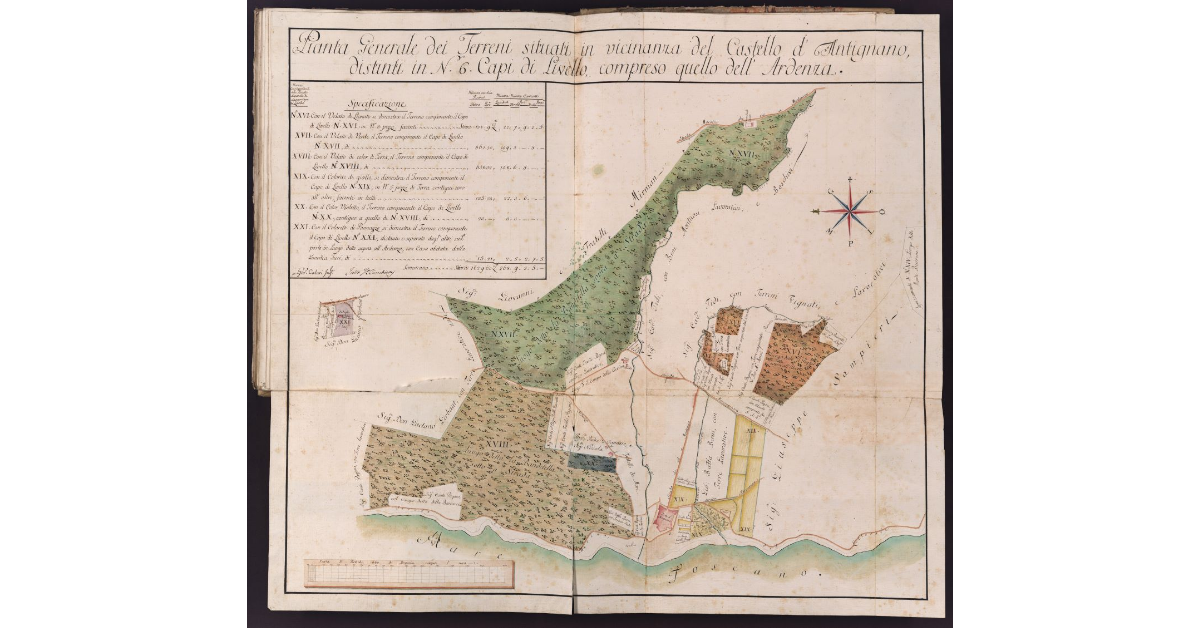 Pianta Generale dei Terreni situati in vicinanza del Castello d'Antignano, distinti in N. 6 Capi di Livello compreso quello dell'Ardenza