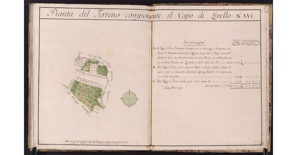 Pianta del Terreno componente il Capo di Livello N. XVI