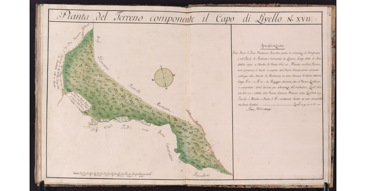 Pianta del Terreno componente il Capo di Livello N. XVII