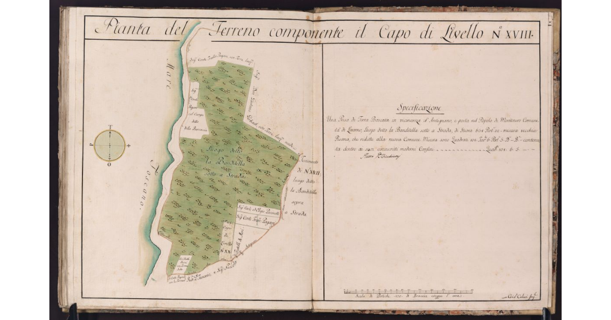 Pianta del Terreno componente il Capo di Livello N. XVIII