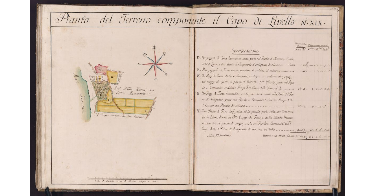 Pianta del Terreno componente il Capo di Livello N. XIX