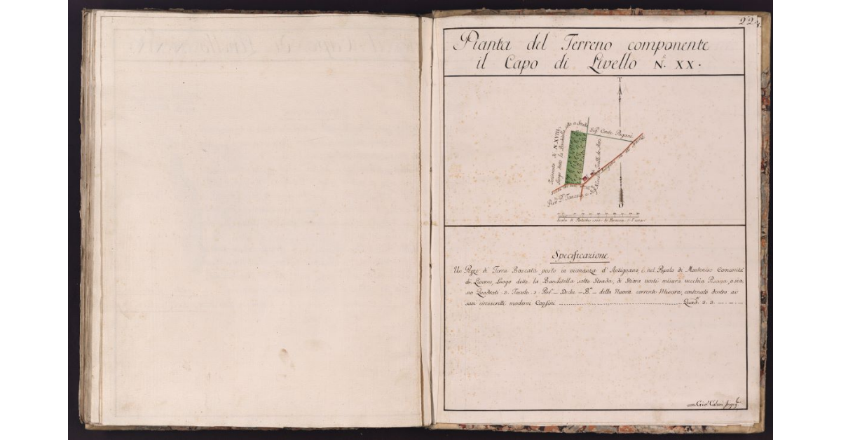 Pianta del Terreno componente il Capo di Livello N. XX
