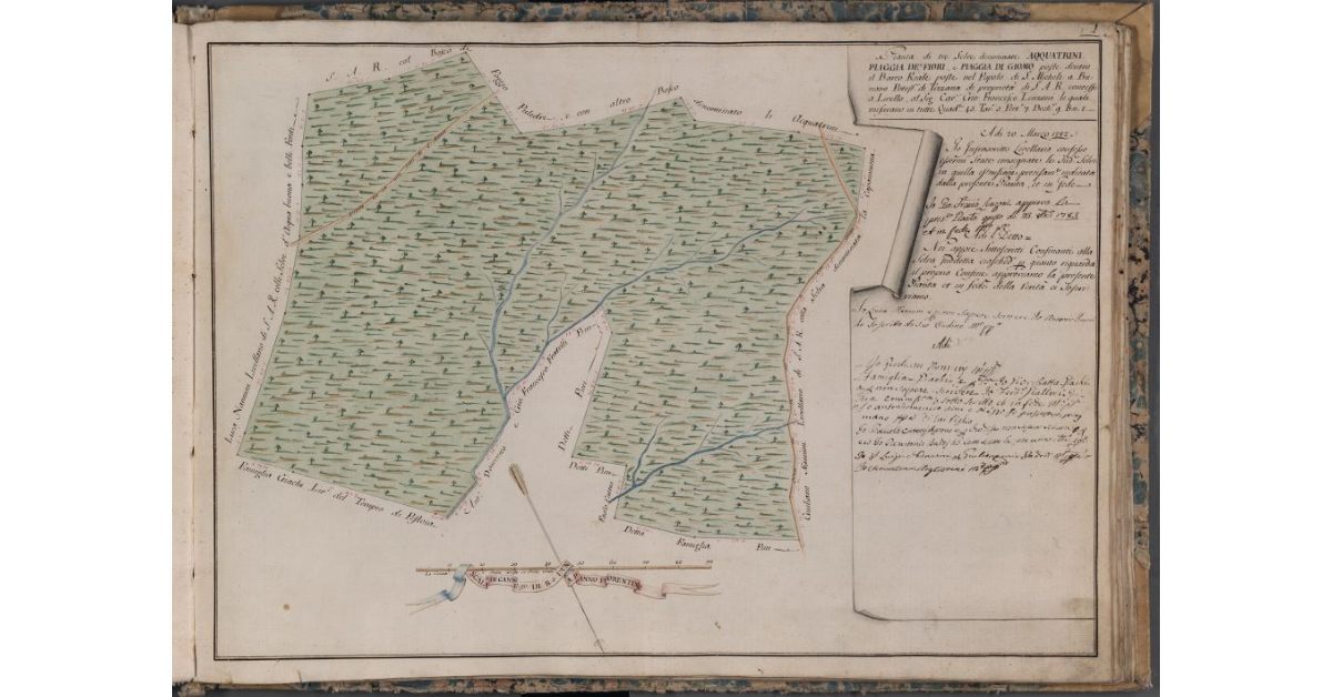 [Pianta delle tre Selve denominate Acquatrini, Piaggia de' Fiori, e Piaggia di Giomo poste nel Barco Reale]