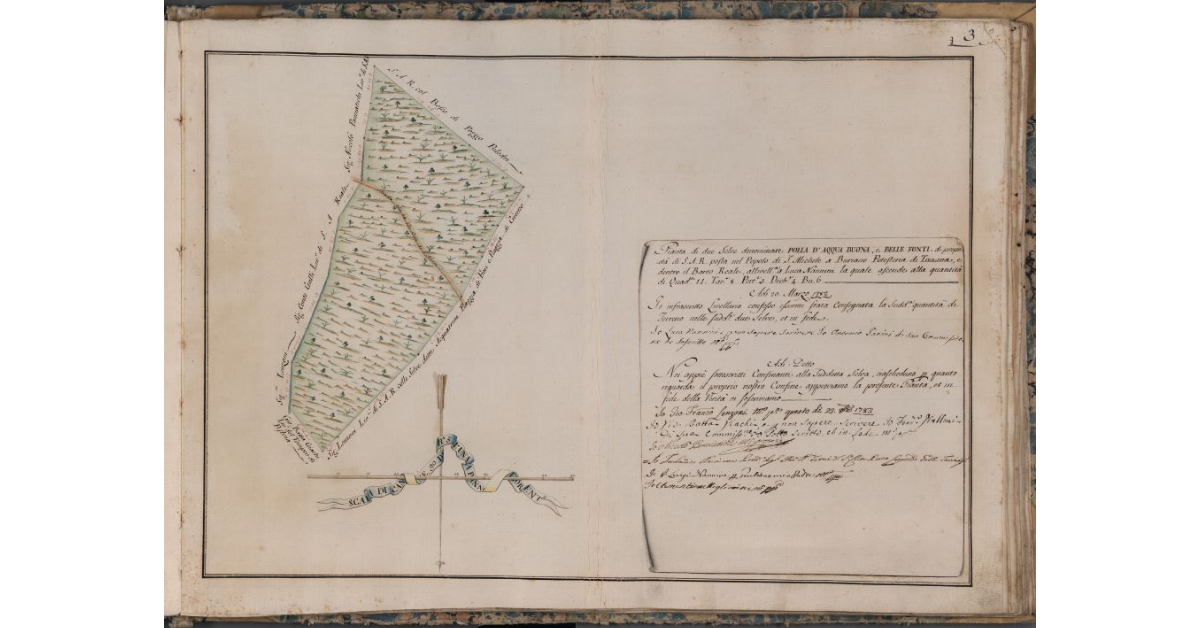 [Pianta delle Selve denominate Polla d'Acqua Buona, e Belle Fonti poste nel Barco Reale]