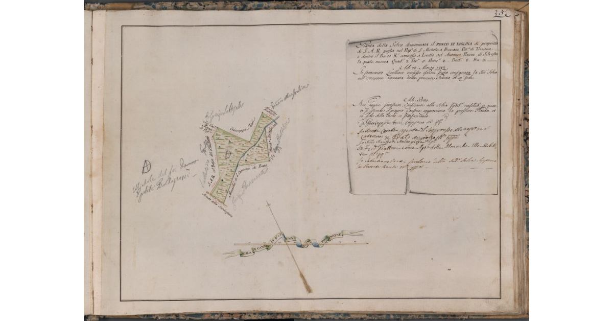 [Pianta della selva denominata il Ronco di Fagiana posta nel Barco Reale]