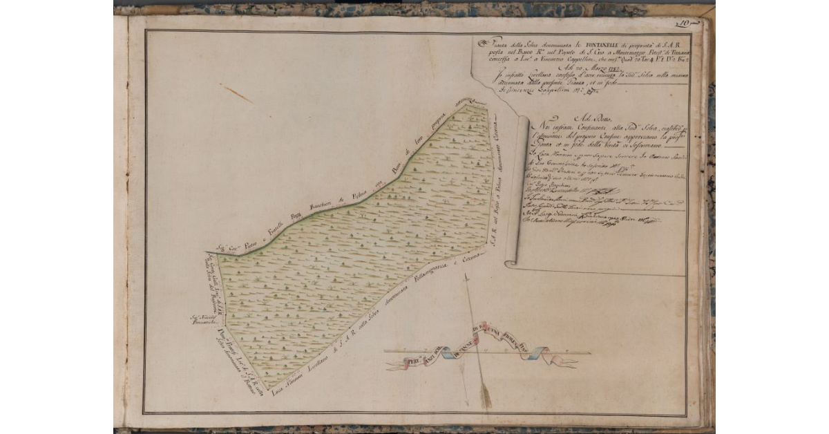 [Pianta della selva denominata le Fontanelle posta nel Barco Reale]