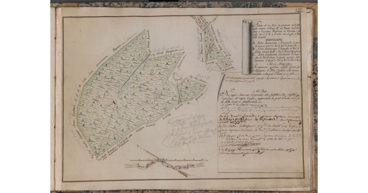 [Pianta di tre selve di proprietà di S.A.R. poste nel Barco Reale]