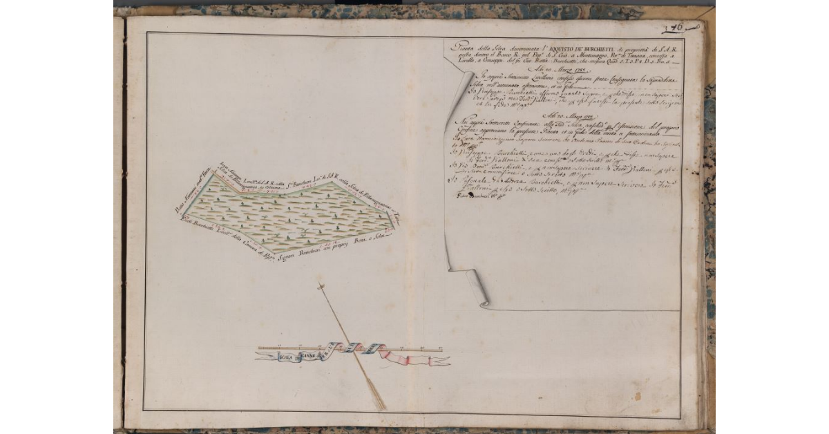 [Pianta della selva denominata l'Acquisto de' Burchietti di proprietà di S.A.R., posta nel Barco Reale]